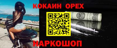 бошки Кингисепп