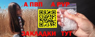 бошки Кингисепп