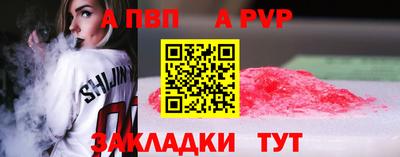 бошки Кингисепп