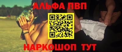 бошки Кингисепп