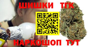 бошки Кингисепп