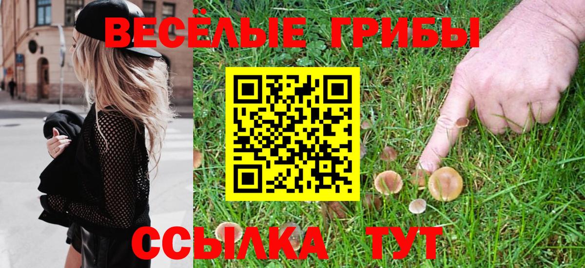 Красноярск  Псилоцибиновые грибы Magic Shrooms  Псилоцибиновые грибы Psilocybe  Вход с VPN 
